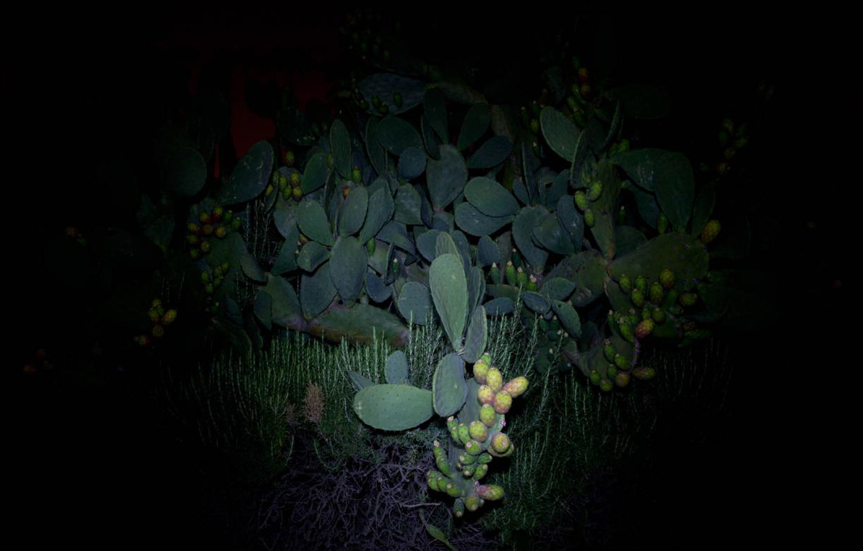 LaSecondaVolta03ds